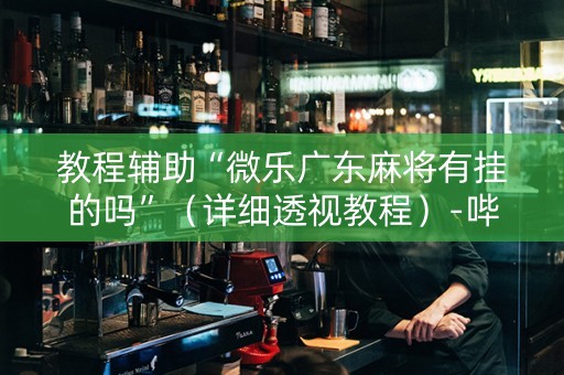 教程辅助“微乐广东麻将有挂的吗”（详细透视教程）-哔哩哔哩