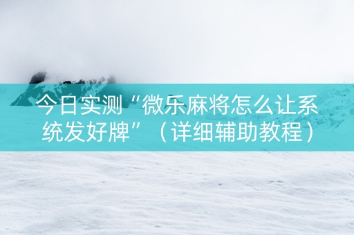 今日实测“微乐麻将怎么让系统发好牌”（详细辅助教程）-哔哩哔哩