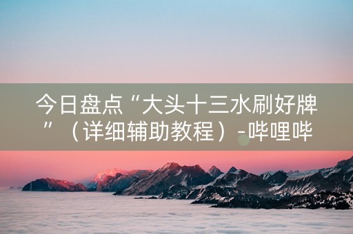 今日盘点“大头十三水刷好牌”（详细辅助教程）-哔哩哔哩