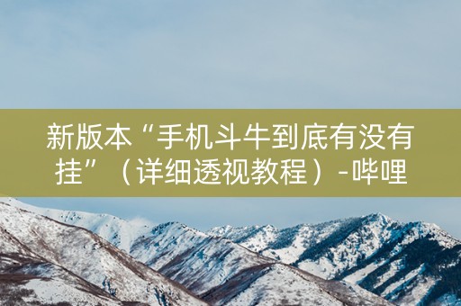 新版本“手机斗牛到底有没有挂”（详细透视教程）-哔哩哔哩