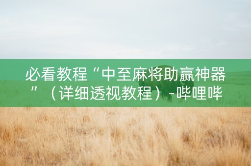 必看教程“中至麻将助赢神器”（详细透视教程）-哔哩哔哩