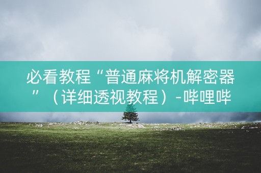 必看教程“普通麻将机解密器”（详细透视教程）-哔哩哔哩