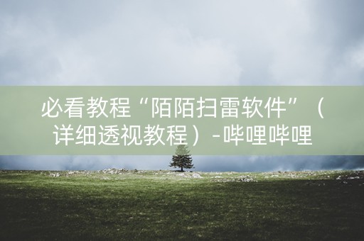 必看教程“陌陌扫雷软件”（详细透视教程）-哔哩哔哩