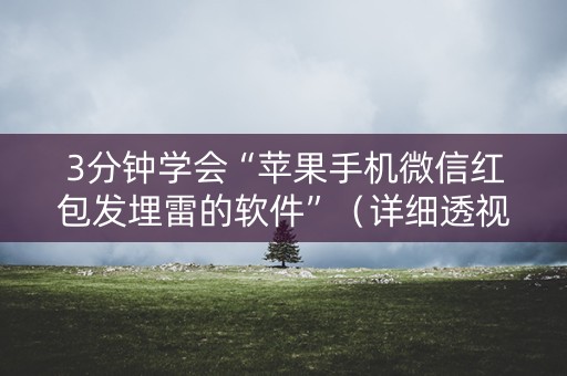3分钟学会“苹果手机微信红包发埋雷的软件”（详细透视教程）-哔哩哔哩