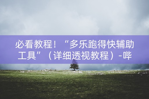必看教程！“多乐跑得快辅助工具”（详细透视教程）-哔哩哔哩