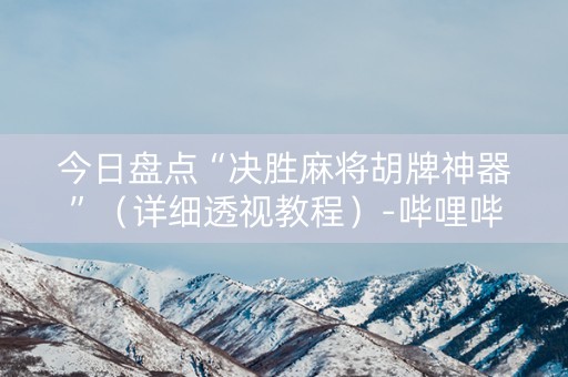 今日盘点“决胜麻将胡牌神器”（详细透视教程）-哔哩哔哩