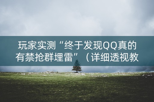 玩家实测“终于发现QQ真的有禁抢群埋雷”（详细透视教程）-哔哩哔哩