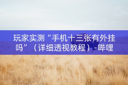 玩家实测“手机十三张有外挂吗”（详细透视教程）-哔哩哔哩