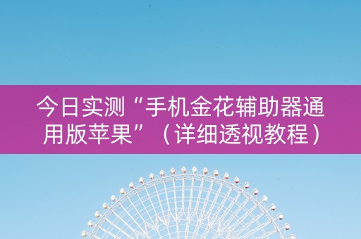 今日实测“手机金花辅助器通用版苹果”（详细透视教程）-哔哩哔哩