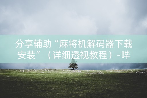 分享辅助“麻将机解码器下载安装”（详细透视教程）-哔哩哔哩