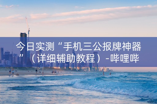 今日实测“手机三公报牌神器”（详细辅助教程）-哔哩哔哩