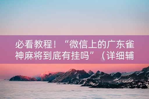 必看教程！“微信上的广东雀神麻将到底有挂吗”（详细辅助教程）-哔哩哔哩