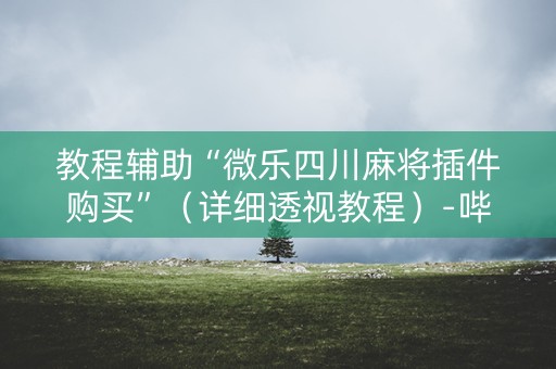 教程辅助“微乐四川麻将插件购买”（详细透视教程）-哔哩哔哩