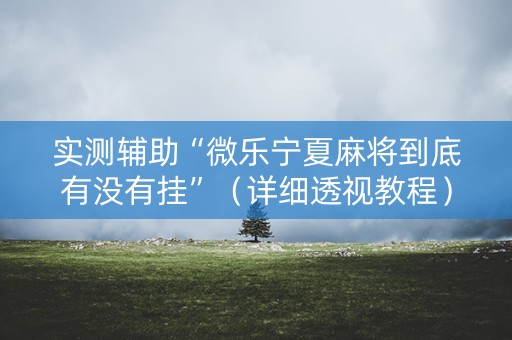 实测辅助“微乐宁夏麻将到底有没有挂”（详细透视教程）-哔哩哔哩