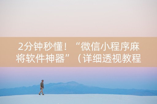 2分钟秒懂！“微信小程序麻将软件神器”（详细透视教程）-哔哩哔哩