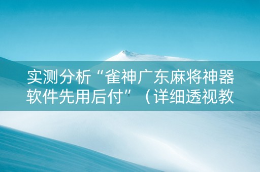 实测分析“雀神广东麻将神器软件先用后付”（详细透视教程）-哔哩哔哩