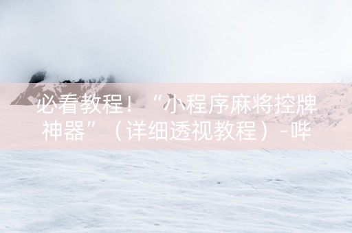 必看教程！“小程序麻将控牌神器”（详细透视教程）-哔哩哔哩