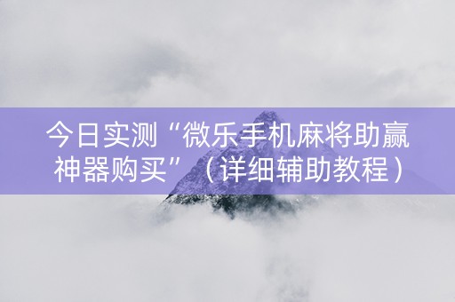 今日实测“微乐手机麻将助赢神器购买”（详细辅助教程）-哔哩哔哩