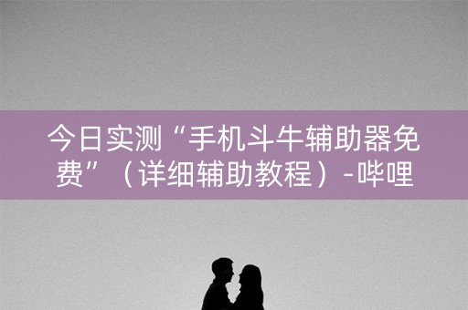 今日实测“手机斗牛辅助器免费”（详细辅助教程）-哔哩哔哩