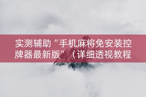 实测辅助“手机麻将免安装控牌器最新版”（详细透视教程）-哔哩哔哩