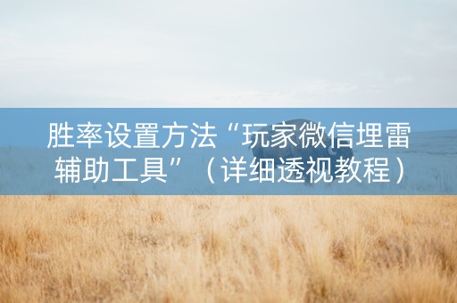 胜率设置方法“玩家微信埋雷辅助工具”（详细透视教程）-哔哩哔哩