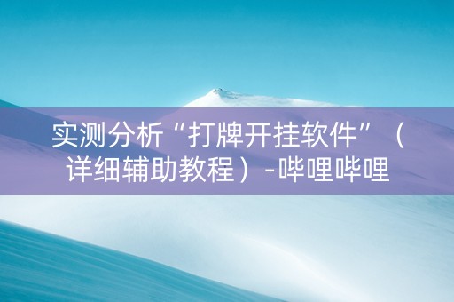 实测分析“打牌开挂软件”（详细辅助教程）-哔哩哔哩