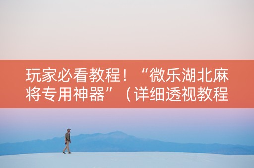 玩家必看教程！“微乐湖北麻将专用神器”（详细透视教程）-哔哩哔哩