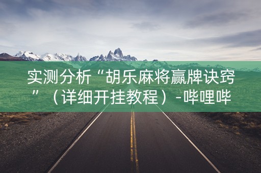 实测分析“胡乐麻将赢牌诀窍”（详细开挂教程）-哔哩哔哩