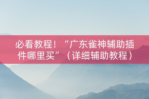 必看教程！“广东雀神辅助插件哪里买”（详细辅助教程）-哔哩哔哩