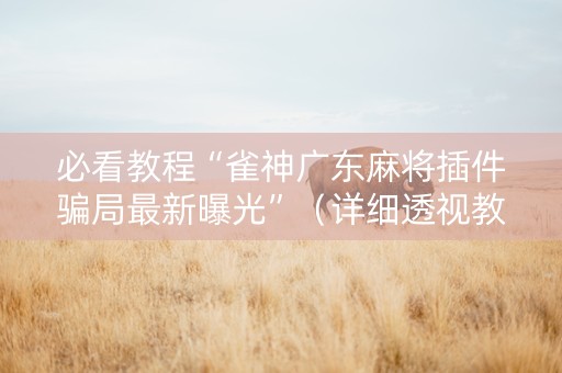必看教程“雀神广东麻将插件骗局最新曝光”（详细透视教程）-哔哩哔哩