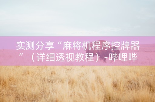 实测分享“麻将机程序控牌器”（详细透视教程）-哔哩哔哩