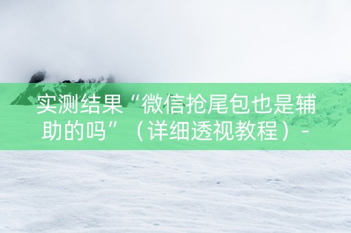实测结果“微信抢尾包也是辅助的吗”（详细透视教程）-哔哩哔哩