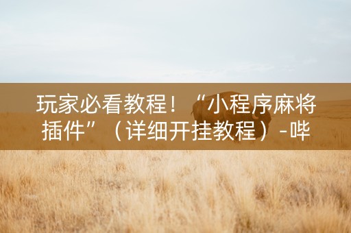 玩家必看教程！“小程序麻将插件”（详细开挂教程）-哔哩哔哩