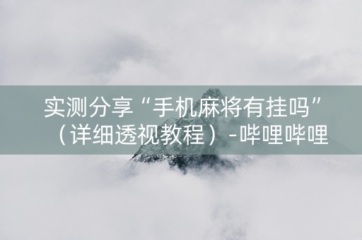 实测分享“手机麻将有挂吗”（详细透视教程）-哔哩哔哩