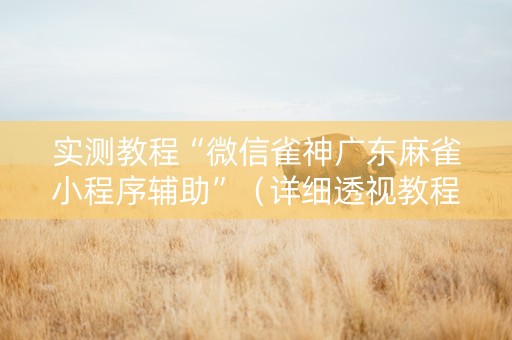 实测教程“微信雀神广东麻雀小程序辅助”（详细透视教程）-哔哩哔哩