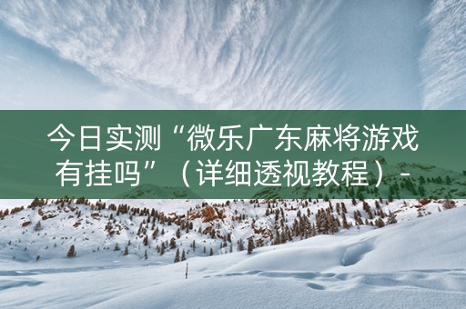 今日实测“微乐广东麻将游戏有挂吗”（详细透视教程）-哔哩哔哩
