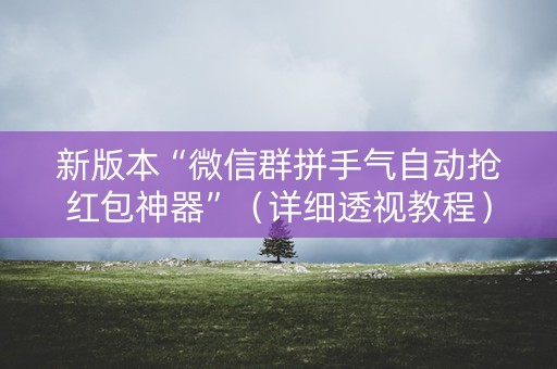 新版本“微信群拼手气自动抢红包神器”（详细透视教程）-哔哩哔哩
