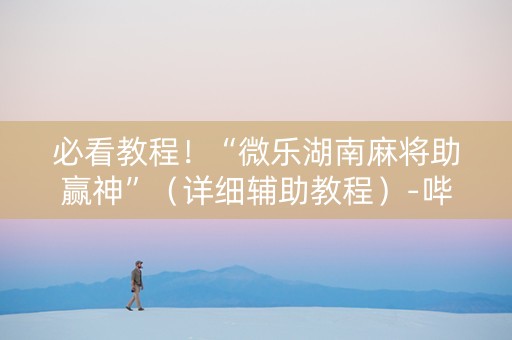 必看教程！“微乐湖南麻将助赢神”（详细辅助教程）-哔哩哔哩