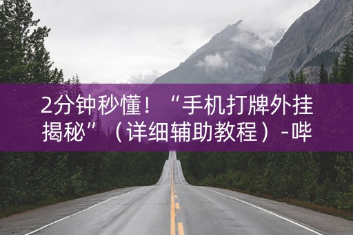 2分钟秒懂！“手机打牌外挂揭秘”（详细辅助教程）-哔哩哔哩