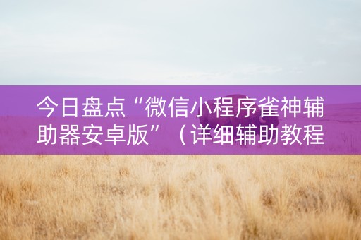 今日盘点“微信小程序雀神辅助器安卓版”（详细辅助教程）-哔哩哔哩