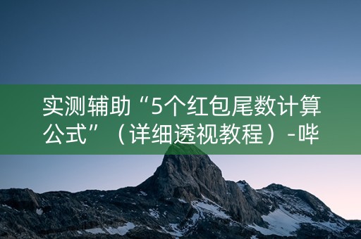 实测辅助“5个红包尾数计算公式”（详细透视教程）-哔哩哔哩