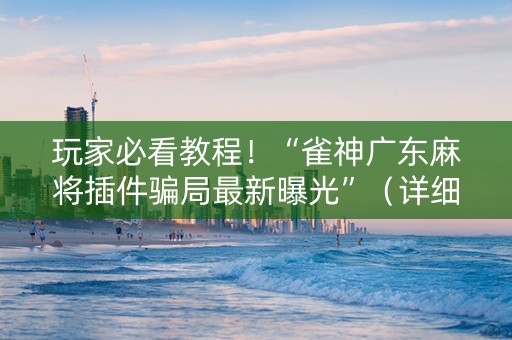 玩家必看教程！“雀神广东麻将插件骗局最新曝光”（详细透视教程）-哔哩哔哩
