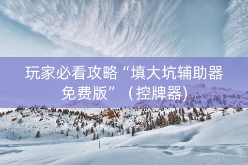 玩家必看攻略“填大坑辅助器免费版”（控牌器)