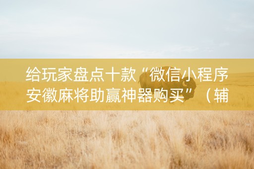 给玩家盘点十款“微信小程序安徽麻将助赢神器购买”（辅助软件)