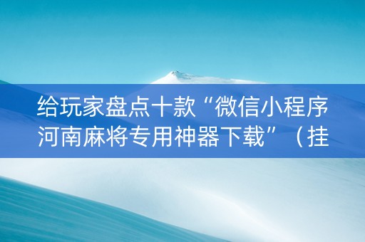 给玩家盘点十款“微信小程序河南麻将专用神器下载”（挂件神器)