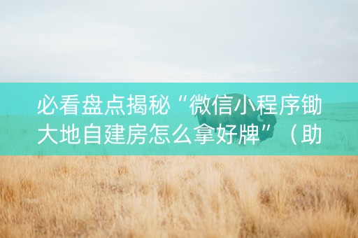 必看盘点揭秘“微信小程序锄大地自建房怎么拿好牌”（助攻神器)