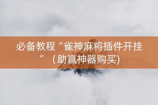 必备教程“雀神麻将插件开挂”（助赢神器购买)