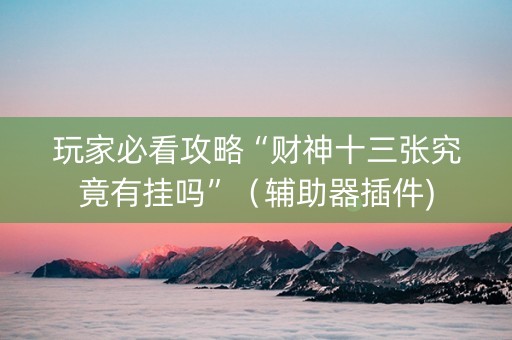 玩家必看攻略“财神十三张究竟有挂吗”（辅助器插件)