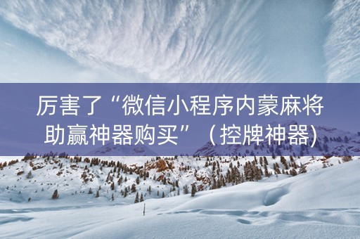 厉害了“微信小程序内蒙麻将助赢神器购买”（控牌神器)