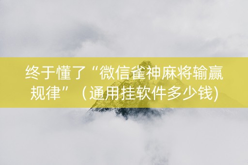 终于懂了“微信雀神麻将输赢规律”（通用挂软件多少钱)